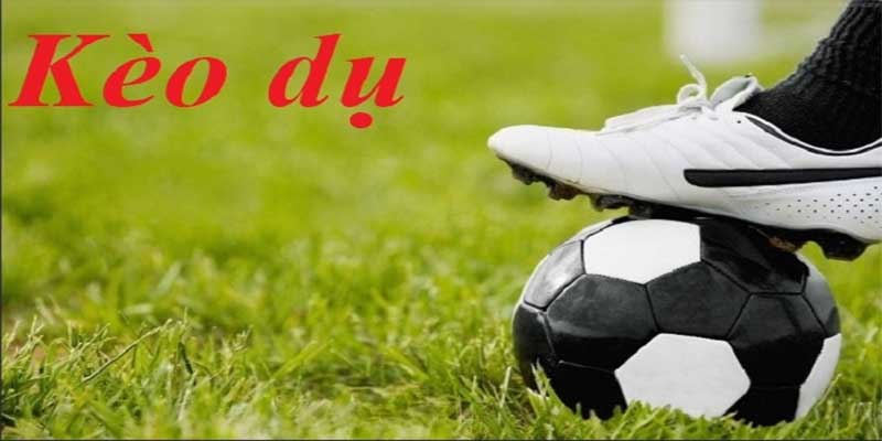 Kèo dễ ăn một cách bất thường