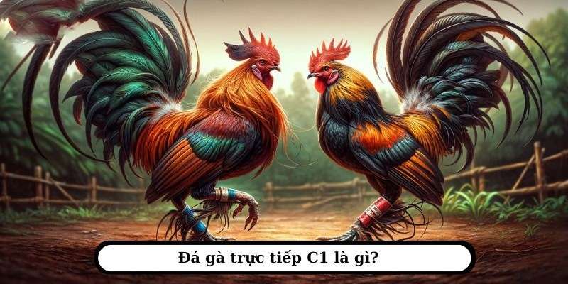Tổng quan về thể loại đá gà C1 Win55